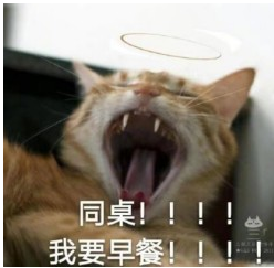 猫喊同桌表情包