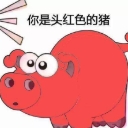 七彩猪qq表情包