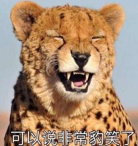 可以说是非常豹笑了表情包 全套版