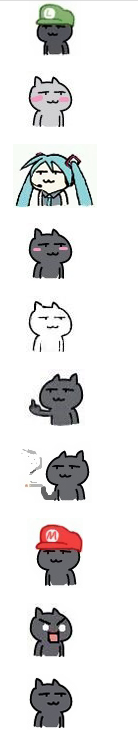 黑色贱猫表情包 全套版