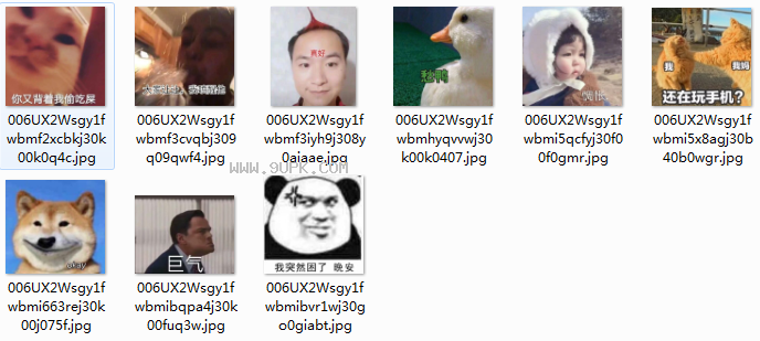 我突然困了晚安qq表情包