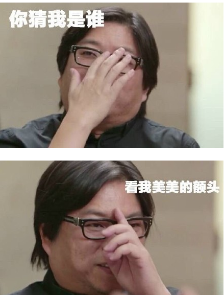 有一种颜值叫高晓松表情包 完整版