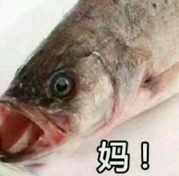 一条鱼喊妈表情包 无水印版