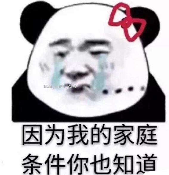 小熊猫解开丸子头qq表情包