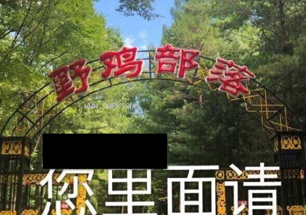 抖音迈着六亲不认的步伐qq表情包