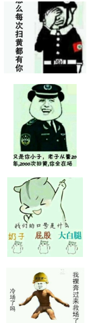 老实点每次扫黄都有你表情包 完整版