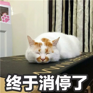 楼楼猫咪国庆节带字表情包下载