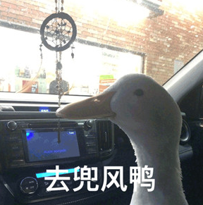 去兜风鸭qq表情包