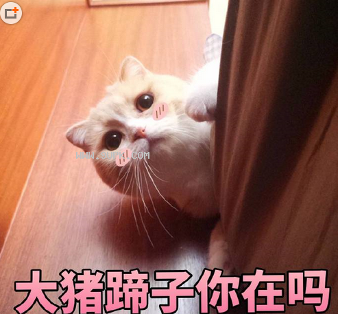 糟了我好像要恋爱了qq表情包