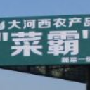 菜霸垄断酸菜市场qq表情包