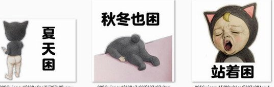 sadayuki微信表情包 无水印版