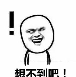 想不到吧我想到了表情包 最新