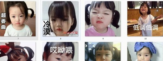 权律二动态表情包 无水印版