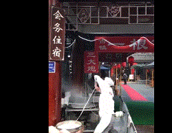 拉面小哥舞姿销魂表情包大全 完整版