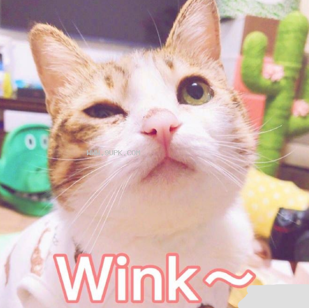 大猪蹄子你在吗喵星人qq表情包