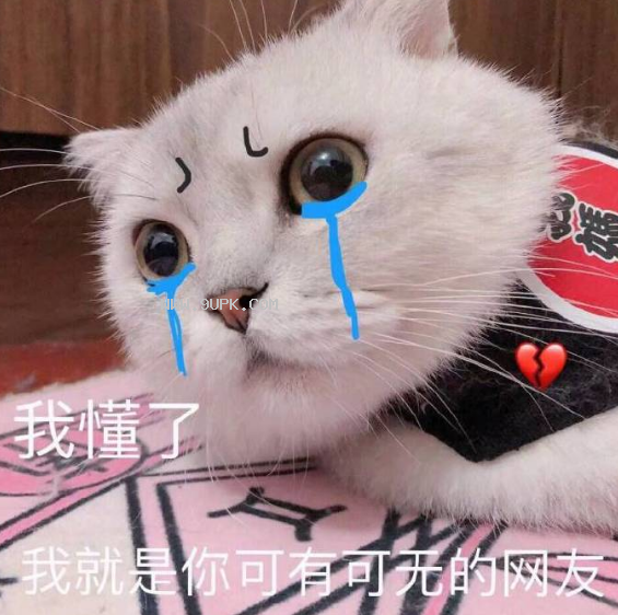 我就是你可有可无的网友qq表情包