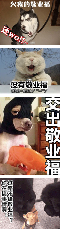 老子的敬业福还我表情包 高清