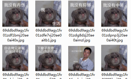 竹鼠qq表情包