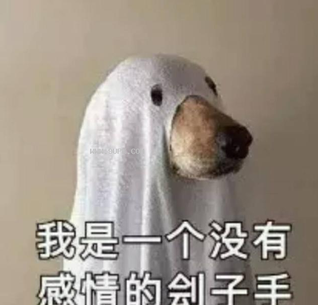 让我看看是谁在说我骚qq表情包