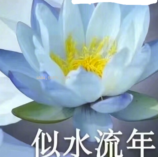 见好就收老年人莲花qq表情包