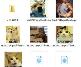 狗狗宿舍专用六人头像图片