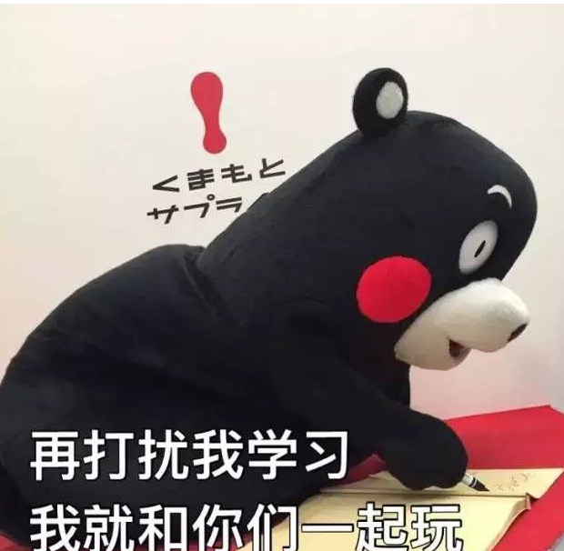 熊本熊期末考试表情包 完整版