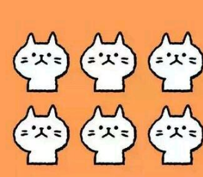 好运小猫表情包 完整版