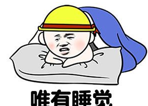 水獭斗图表情包