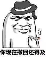 撤回也没用表情包 完整版