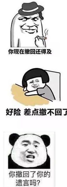 撤回也没用表情包 完整版