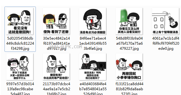 蘑菇头撤回消息斗图qq表情包