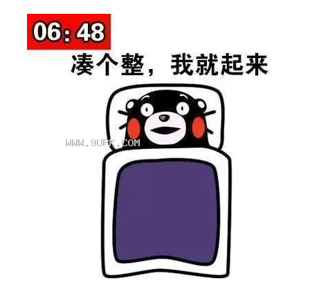 早晨晚上床上躺着玩手机qq表情包
