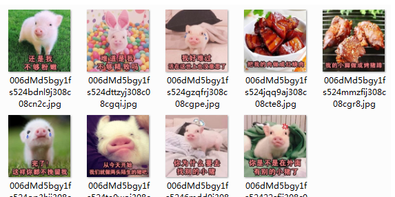 日常吸猪撒娇qq表情包
