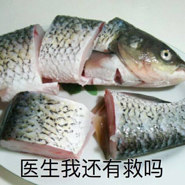 还可以抢救一下qq表情包