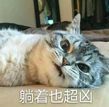 猫宇宙最凶qq表情包