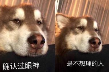确认过眼神qq表情包