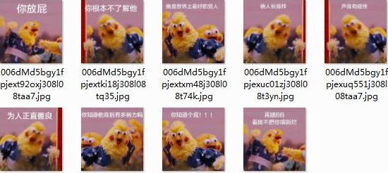 当有人diss你爱豆时qq表情包