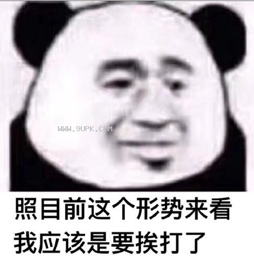 照目前这个形势来看qq表情包