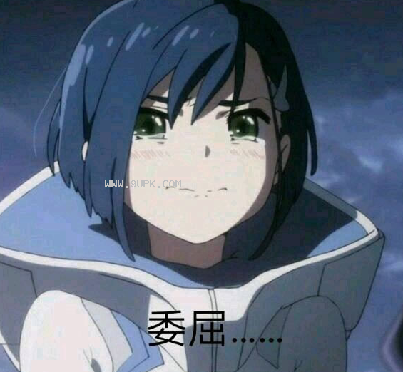 国家队莓qq表情包