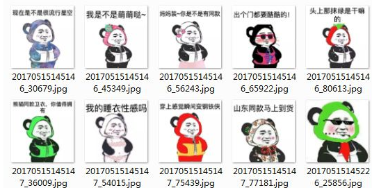 熊猫插兜穿衣服qq表情包