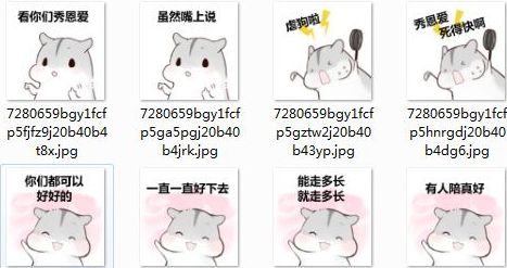 仓鼠有人陪着是真的好qq表情包