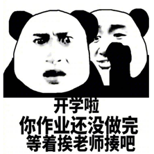 寒假作业做完了吗qq表情包
