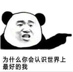 金馆长熊猫人你好好反思一下qq表情包