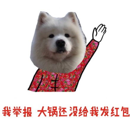萨摩耶要红包qq表情包