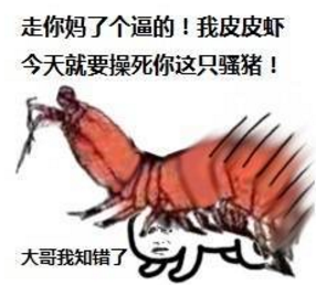 又抓到一个骑皮皮虾的qq表情包