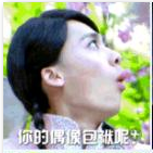 活色生香李易峰陈伟霆QQ表情包