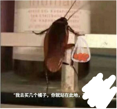 我买几个橘子去你就在此地不要走动qq表情包