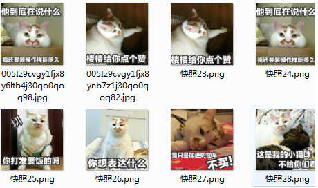楼楼qq表情包