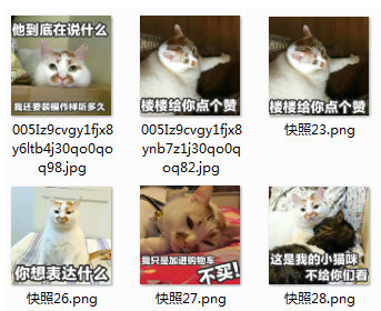 油牌花脸猫qq表情包