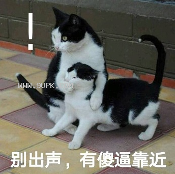 别出声有傻逼靠近qq表情包